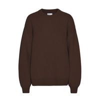 Oversized Merino Wool Crewneck Sweater, Coffee Brown