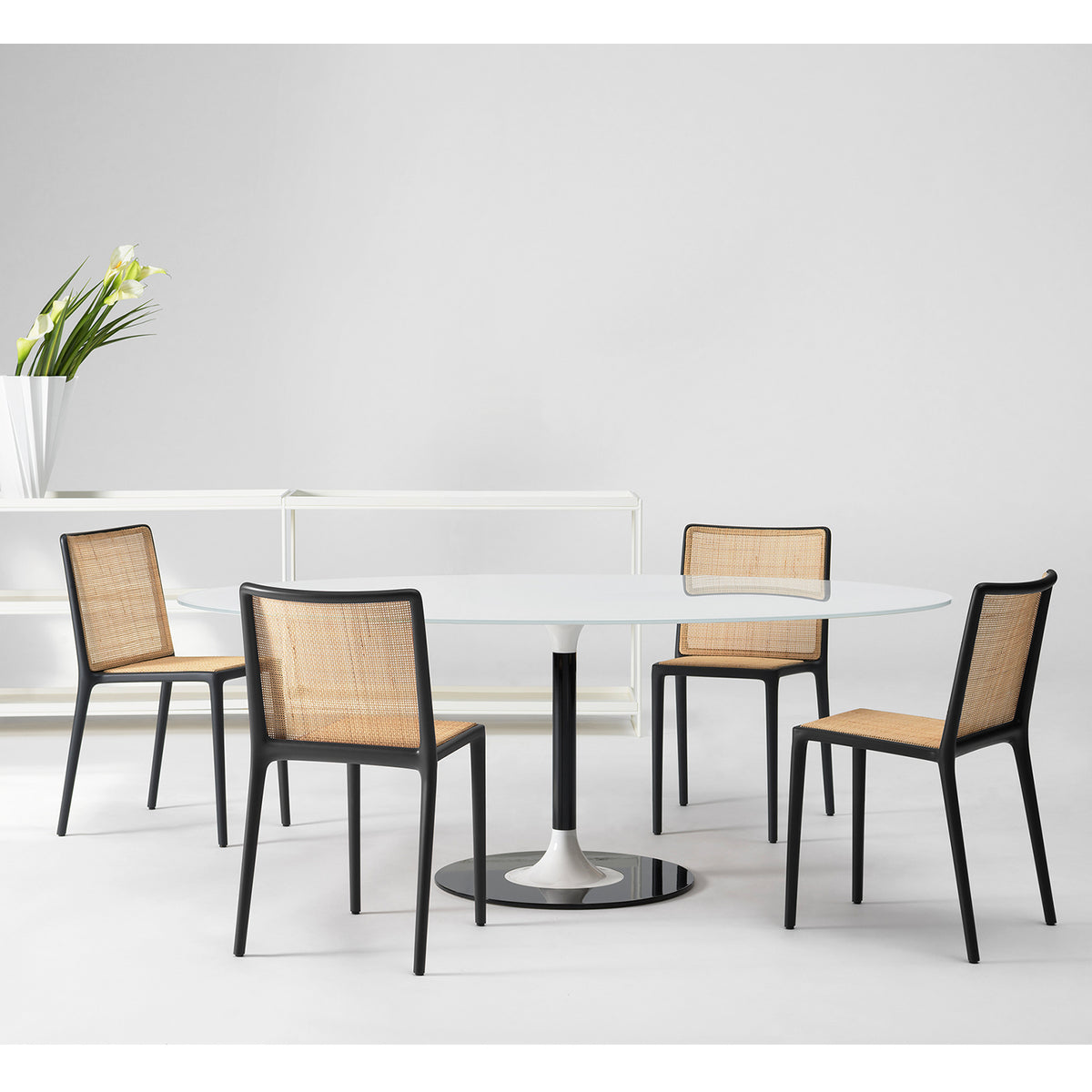 Belvedere Dining Chair
