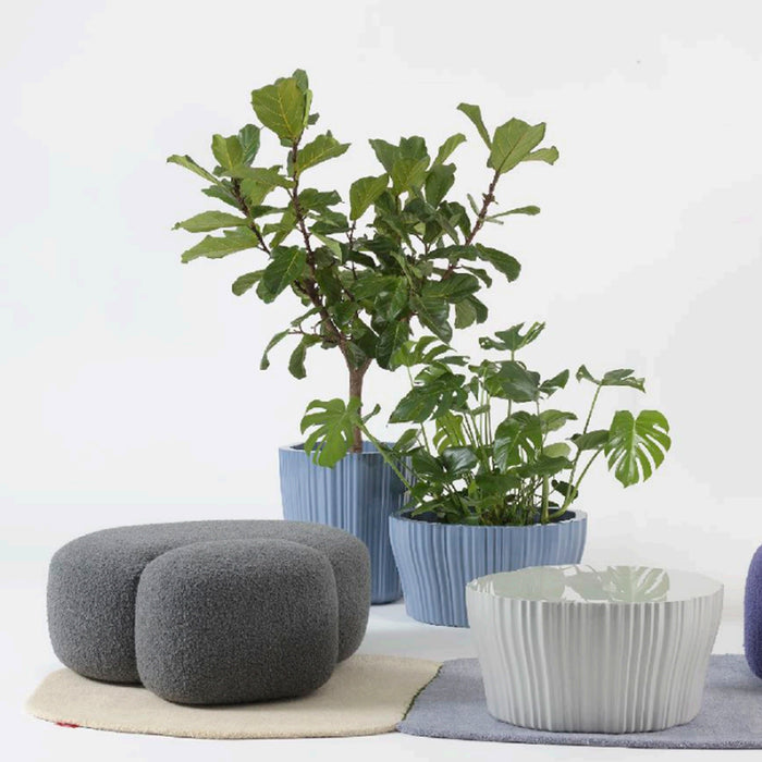 Corteza Coffee Table
