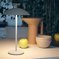 Geen–A Portable Lamp