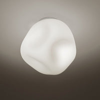 Hoba Wall & Ceiling Light