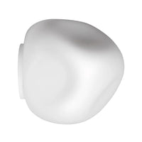 Hoba Wall & Ceiling Light