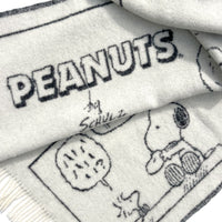 Peanuts Blanket, Comic