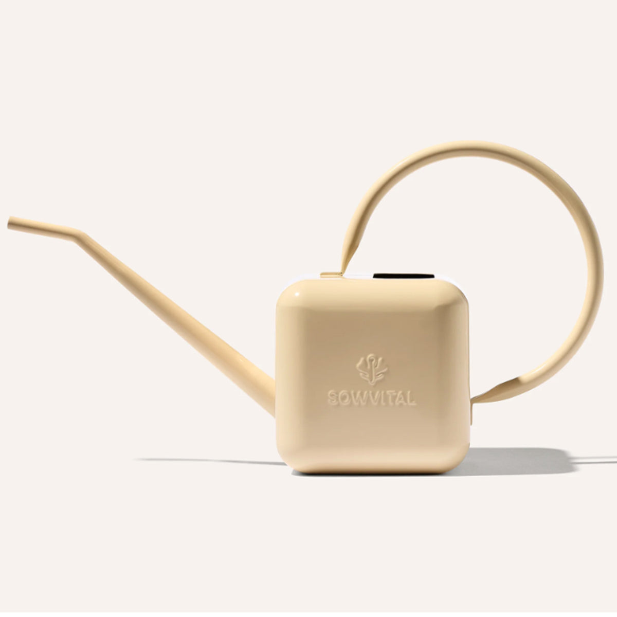 House Plant Watering Can