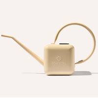 House Plant Watering Can