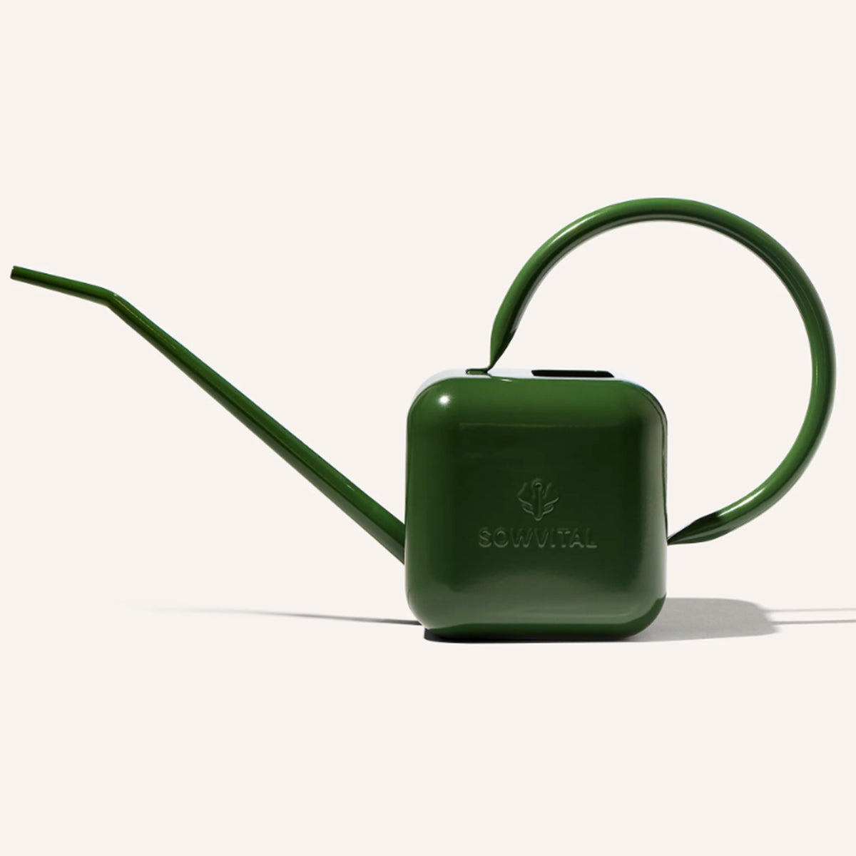 House Plant Watering Can