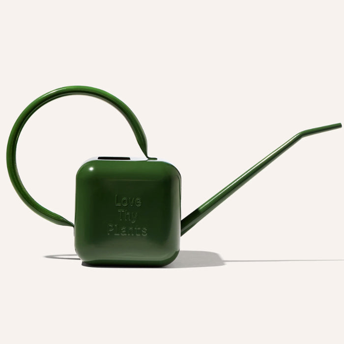 House Plant Watering Can