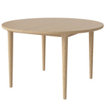 White Pigmented Oak