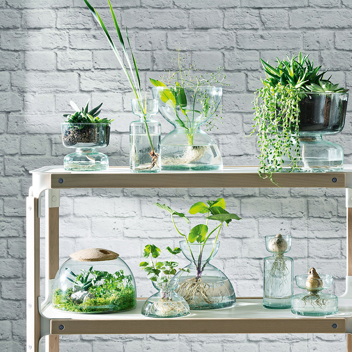 Canopy Vase Bulb Planter 10cm - LSA