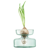 Canopy Vase Bulb Planter 10cm - LSA