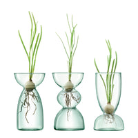 Canopy Mini Trio Vase Set - LSA
