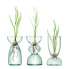 Canopy Mini Trio Vase Set