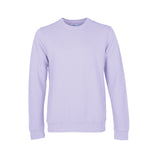 Soft Lavender