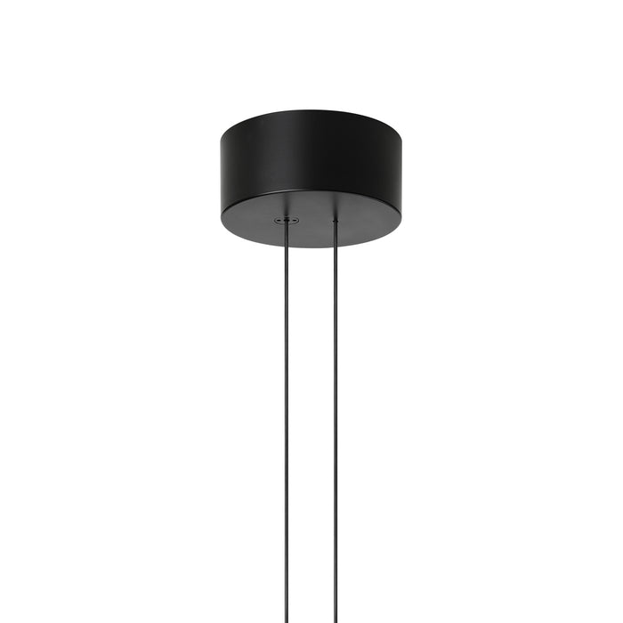 Arrangements Ceiling Rose - Flos