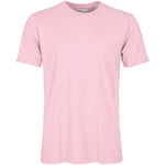 Flamingo Pink