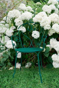 1900 Bench, Cedar Green