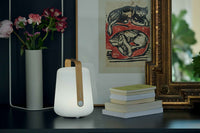 A glowing white Fermob Balad2 Outdoor Light, Bamboo, H38 sits on a dark surface beside a vase of flowers, stacked books, and a framed artwork featuring two cats.