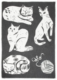 Kissanpaivat Blanket