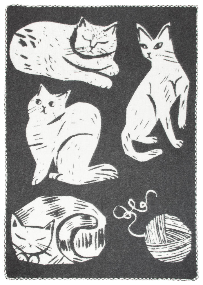 Kissanpaivat Blanket