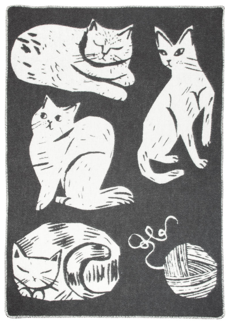 Kissanpaivat Blanket