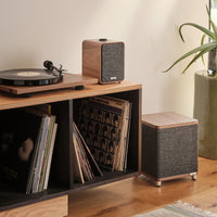 A wooden shelf displays a record player, vinyl records, wood-and-fabric speakers, and an aloe plant in a green pot. Audio is elevated with the Ruark RS1 Subwoofer from Ruark for premium sound and rich bass in this inviting music corner.
