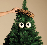 Carol Christmas Baubles, Set of 2