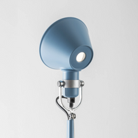 Tolomeo Micro Desk Lamp