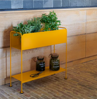 Picolino Plant Holder