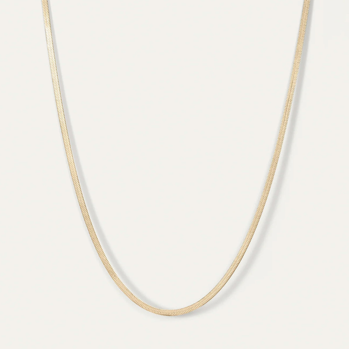 Zeina Chain