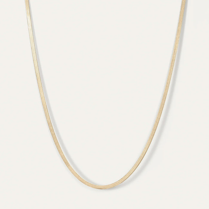 Zeina Chain