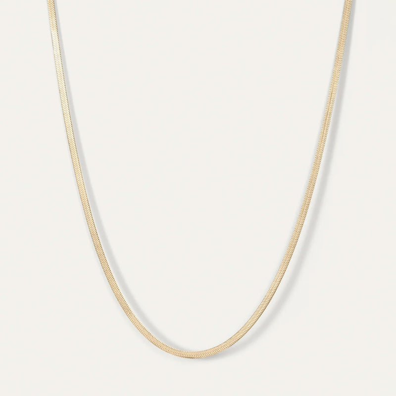 Zeina Chain