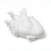 Anatomical Heart Jewellery Box