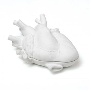 Anatomical Heart Jewellery Box