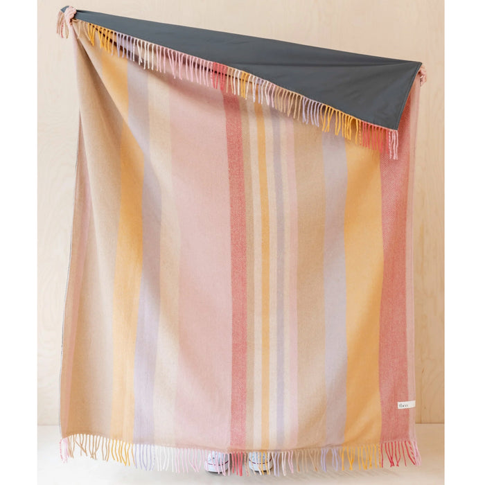 Picnic Blanket, Coral Stripe