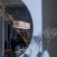 Pli Suspension Light