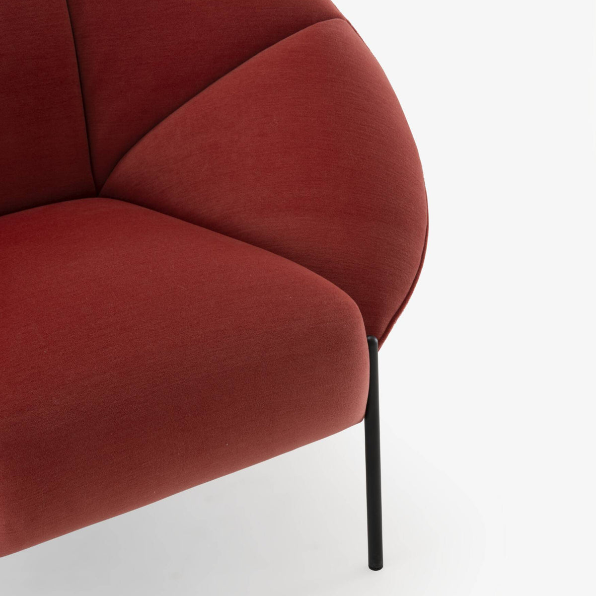 Paipaï Armchair, Laco Velvet