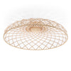 Skynest Ceiling Light