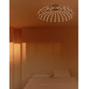 Skynest Ceiling Light