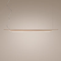 Troag Suspension Light