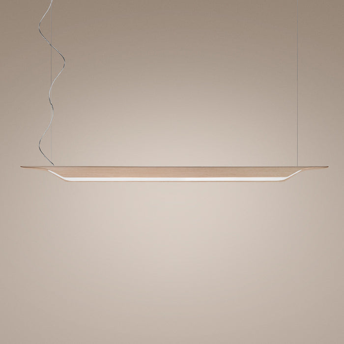 Troag Suspension Light