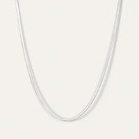 Zeina Chain
