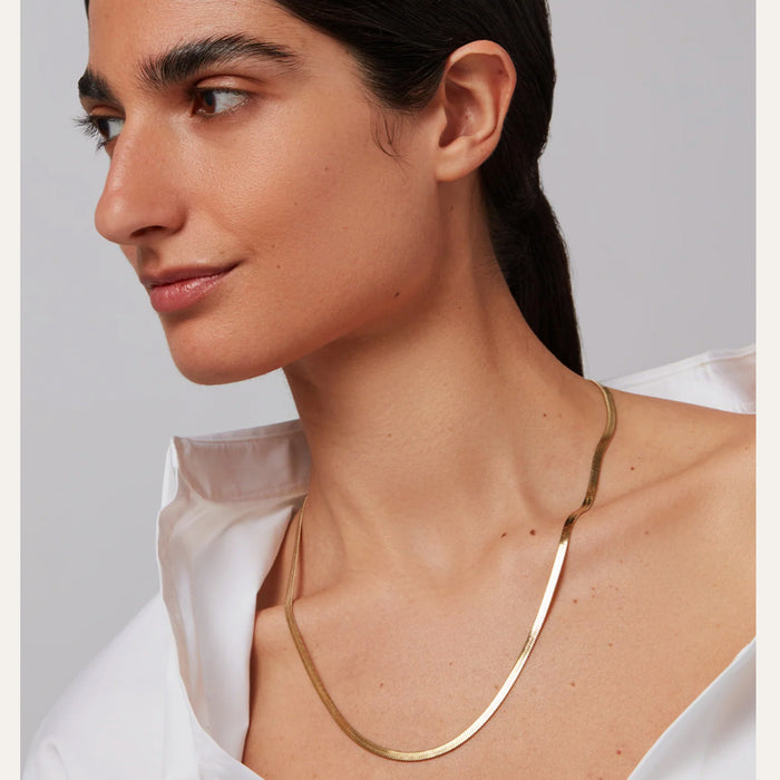 Zeina Chain