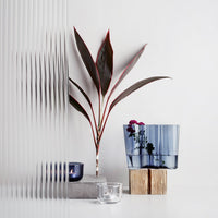 Alvar Aalto Vase, 120 mm - Iittala