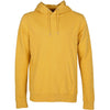 Classic Organic Hoodie Sweater