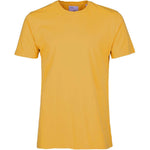 Burned Yellow