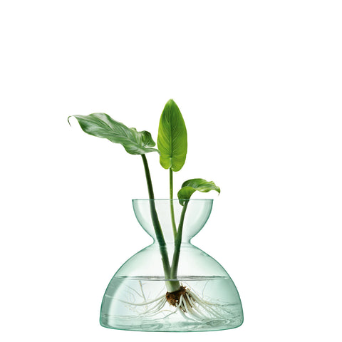 Canopy Vase Bulb Planter 10cm