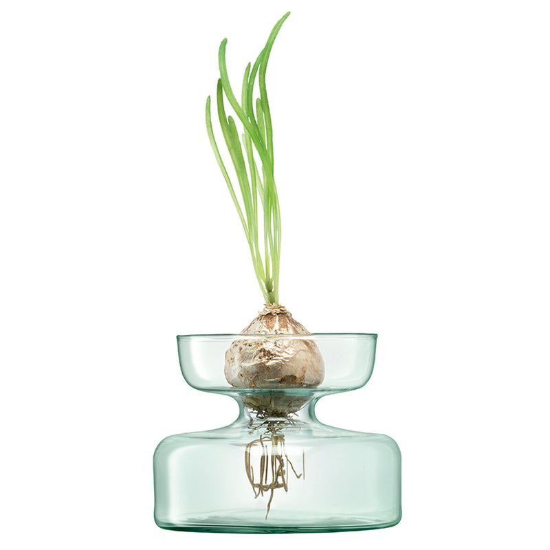 Canopy Vase Bulb Planter 10cm