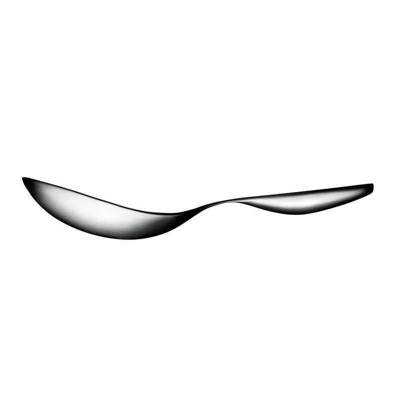 Collective Tools Serving Spoon