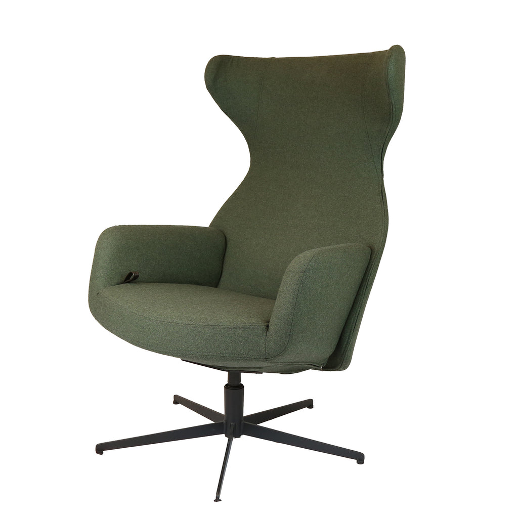 Isa Relax Lounge Chair, Stipa Green