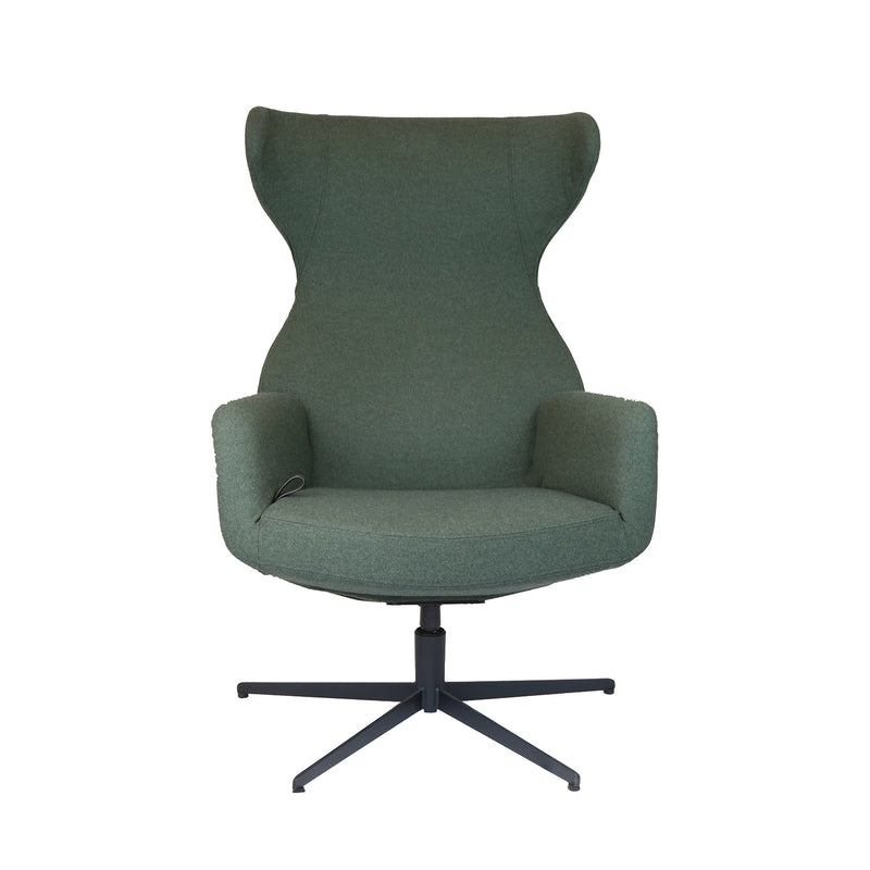 Isa Relax Lounge Chair, Stipa Green